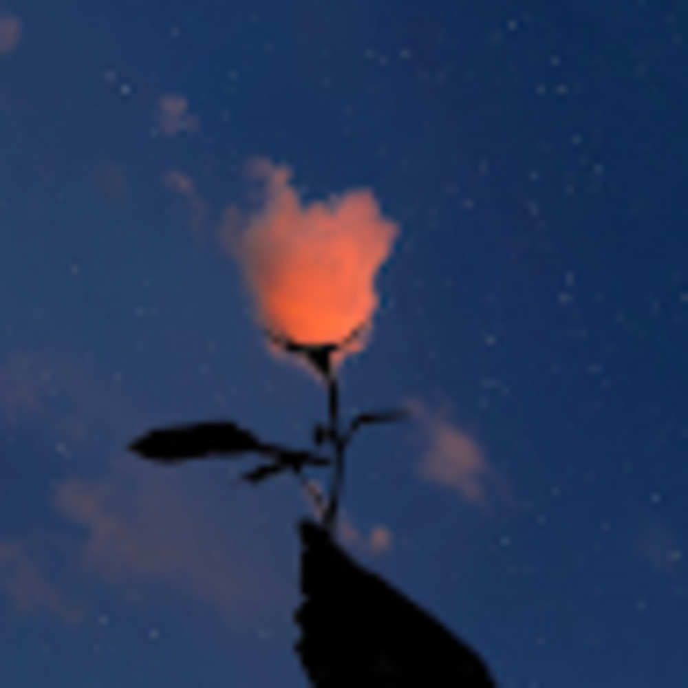 Meet your Posher, Aliza